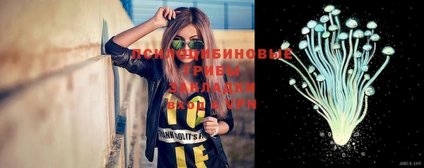 ГАЛЛЮЦИНОГЕННЫЕ ГРИБЫ Алексин