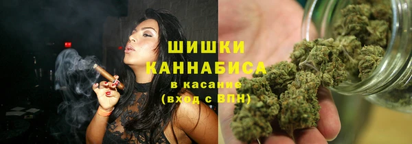 spice Алзамай